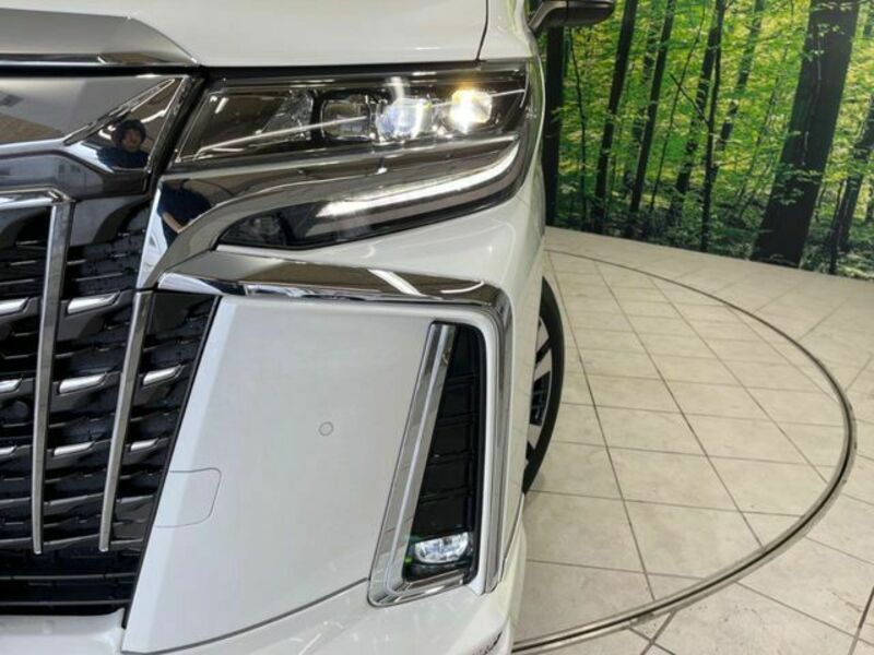 ALPHARD-12