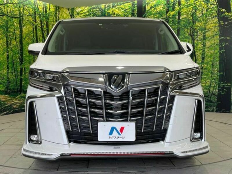 ALPHARD-14