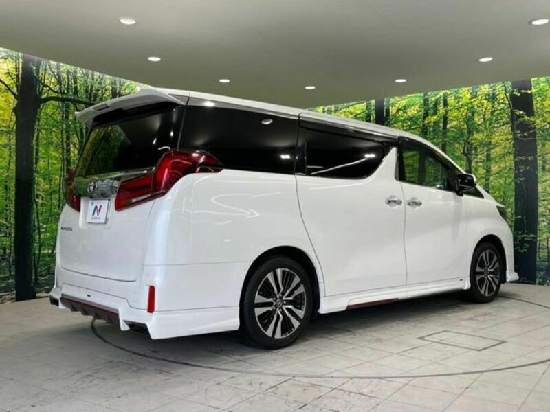 ALPHARD-17