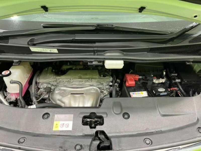 ALPHARD-18