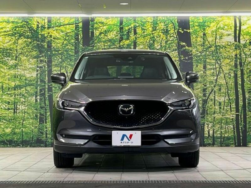 CX-5-13