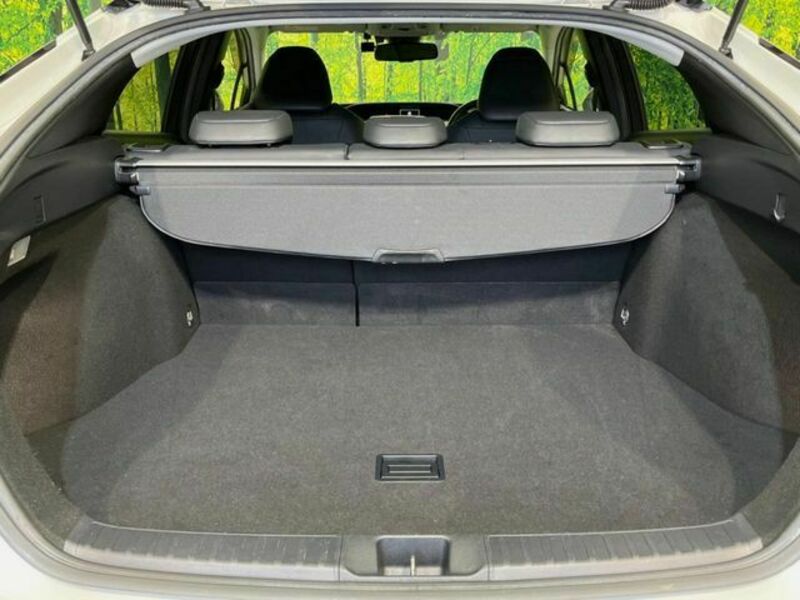 PRIUS-9