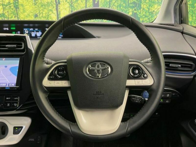 PRIUS-10