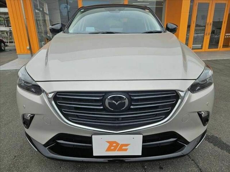 CX-3-8