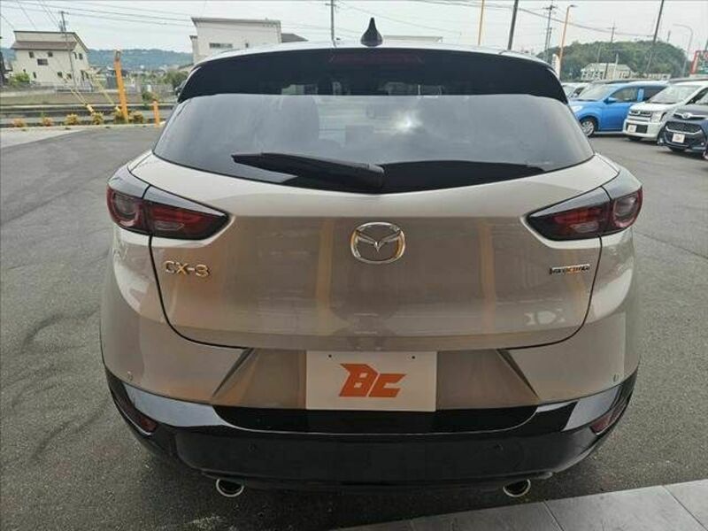 CX-3-13