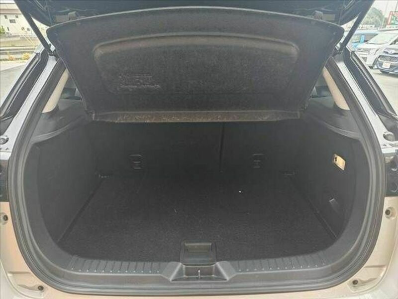 CX-3-19