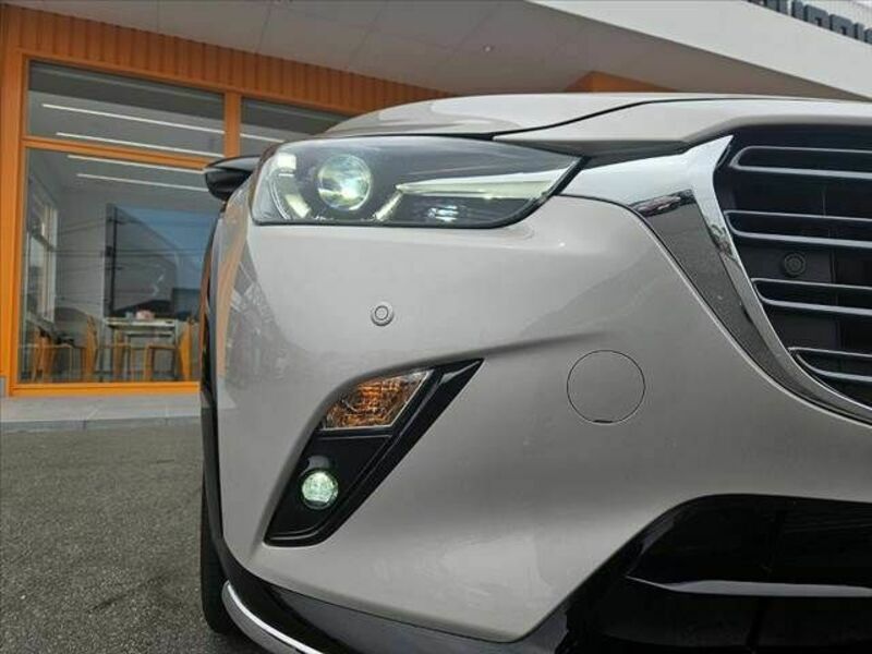 CX-3-21