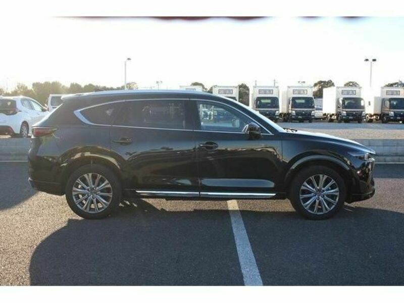 CX-8-8