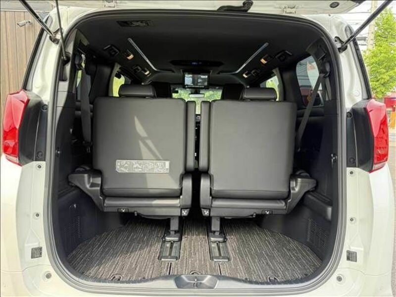 ALPHARD-10