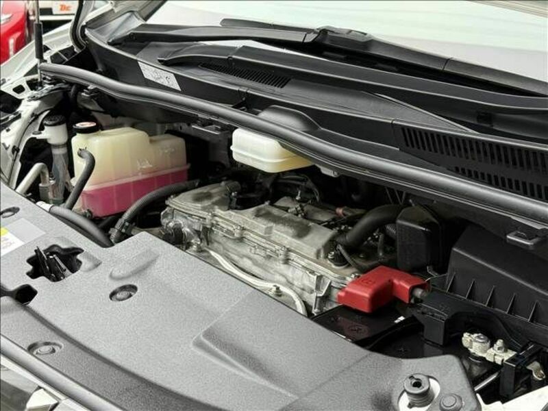 ALPHARD-19