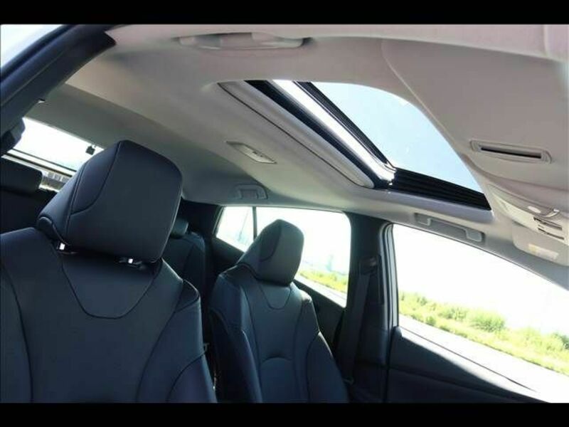 PRIUS-12
