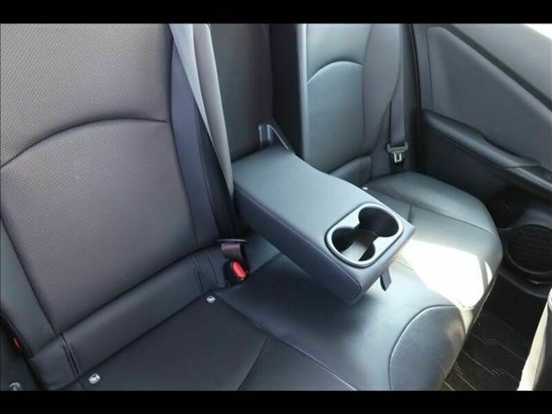 PRIUS-16