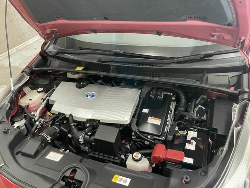 PRIUS-21