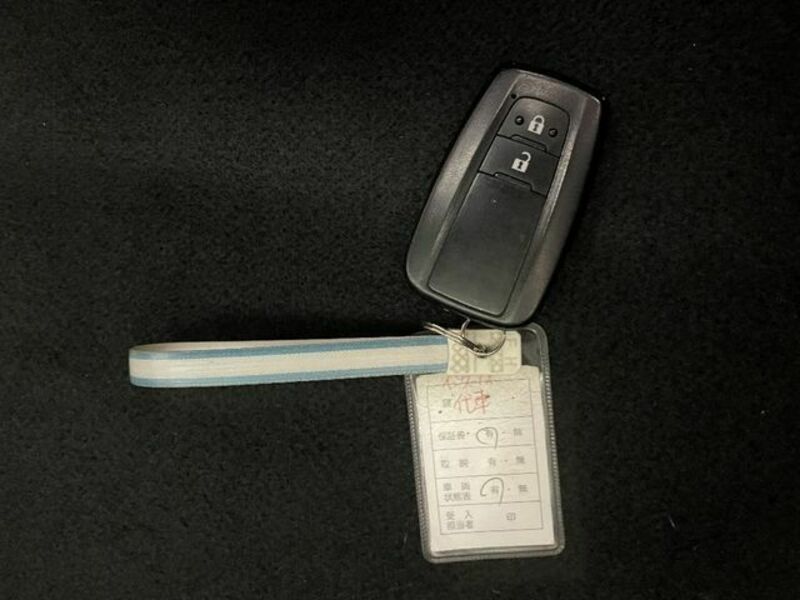 PRIUS-22
