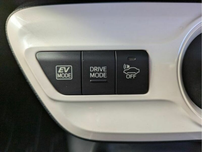 PRIUS-15