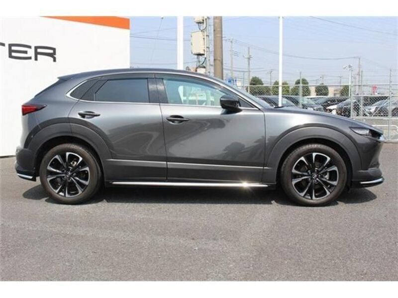 CX-30