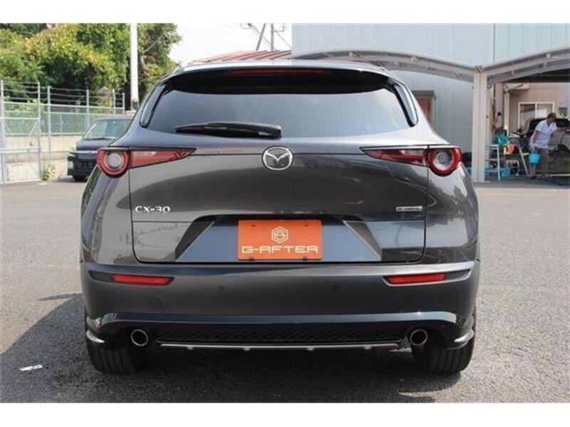CX-30