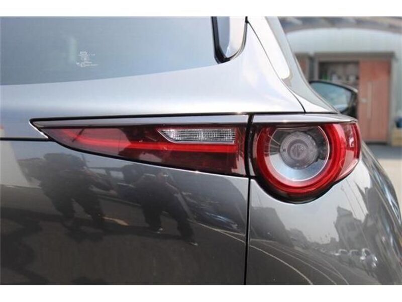 CX-30