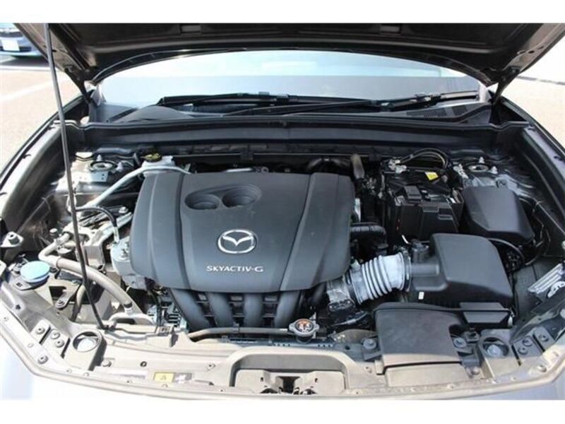 CX-30