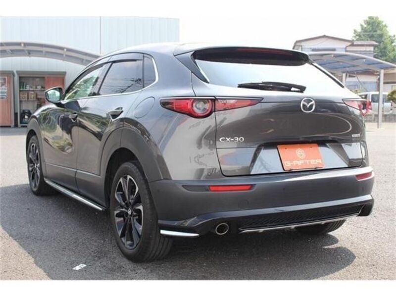 CX-30