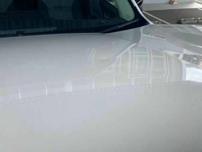 FORESTER-25