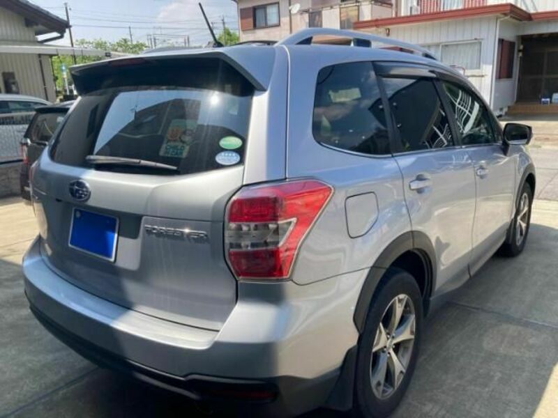 FORESTER-2