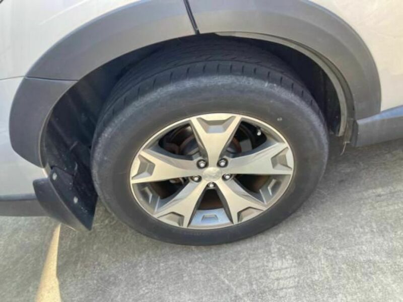 FORESTER-4