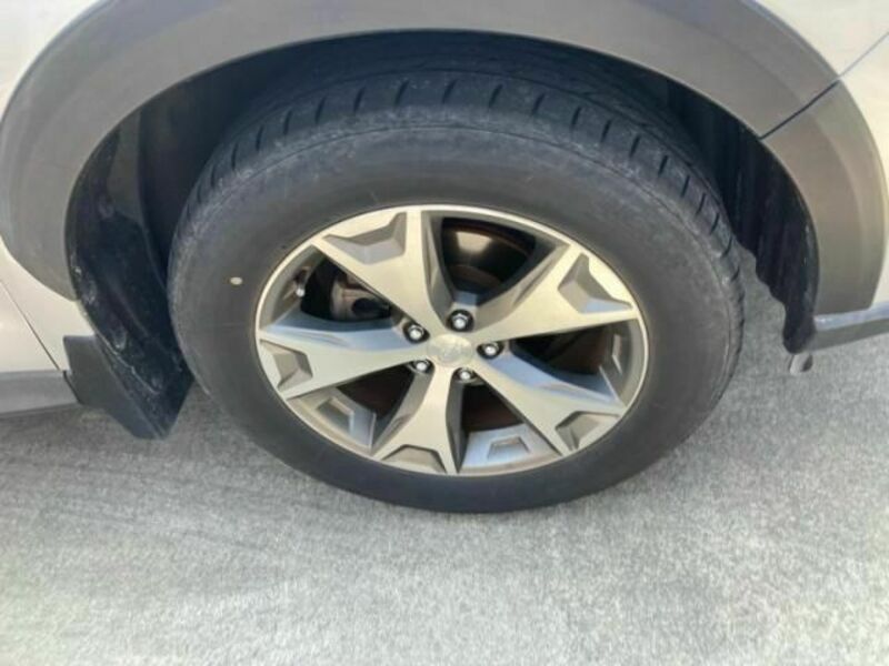 FORESTER-5