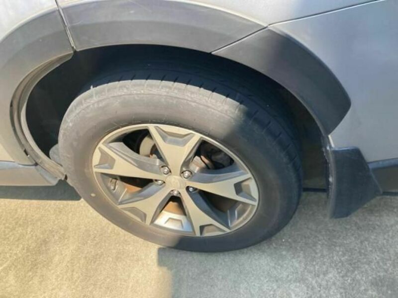 FORESTER-6