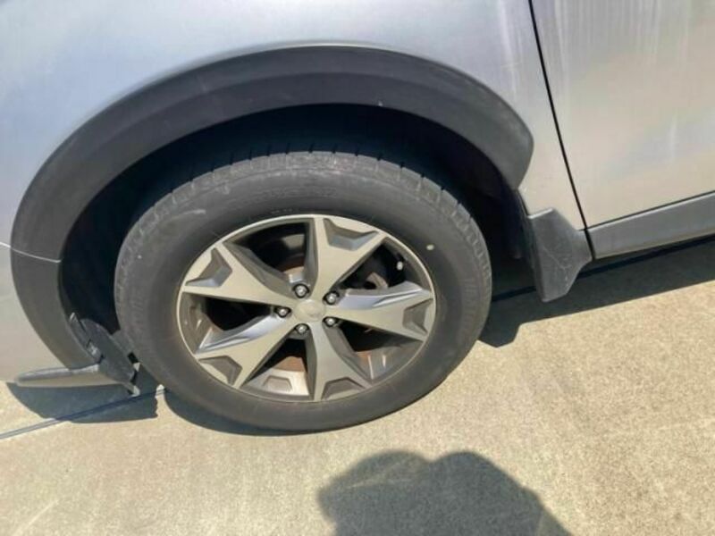 FORESTER-7