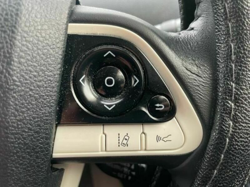 PRIUS-17
