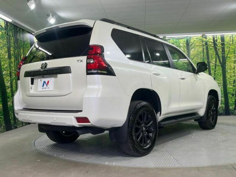 LAND CRUISER PRADO-17