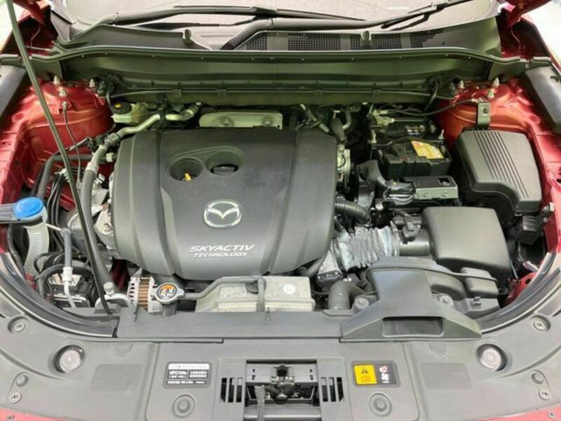 CX-5-17
