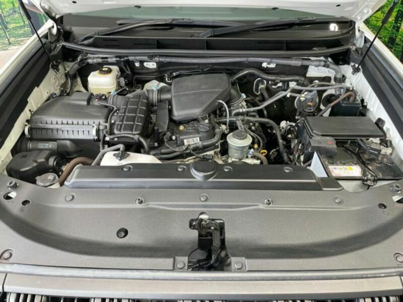 LAND CRUISER PRADO-18