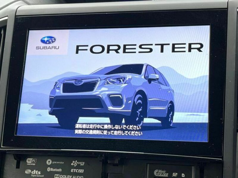 FORESTER-3