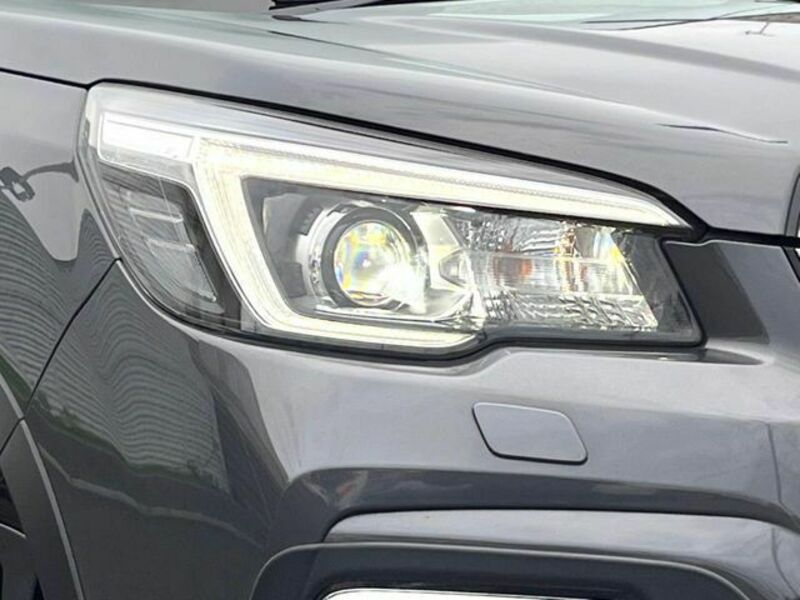 FORESTER-11