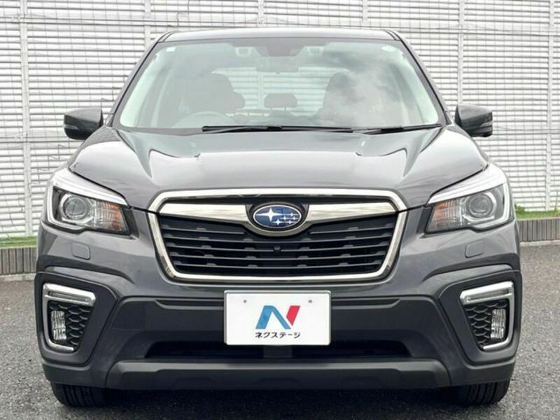 FORESTER-13