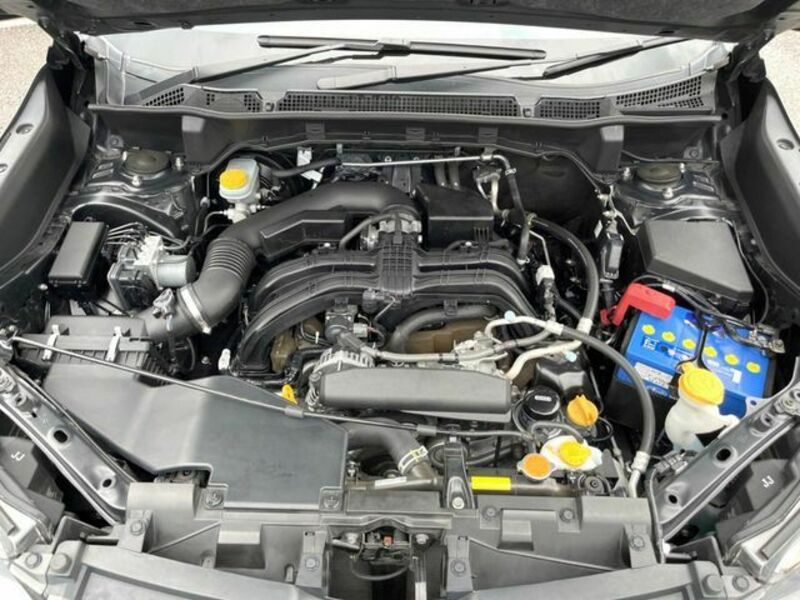 FORESTER-17