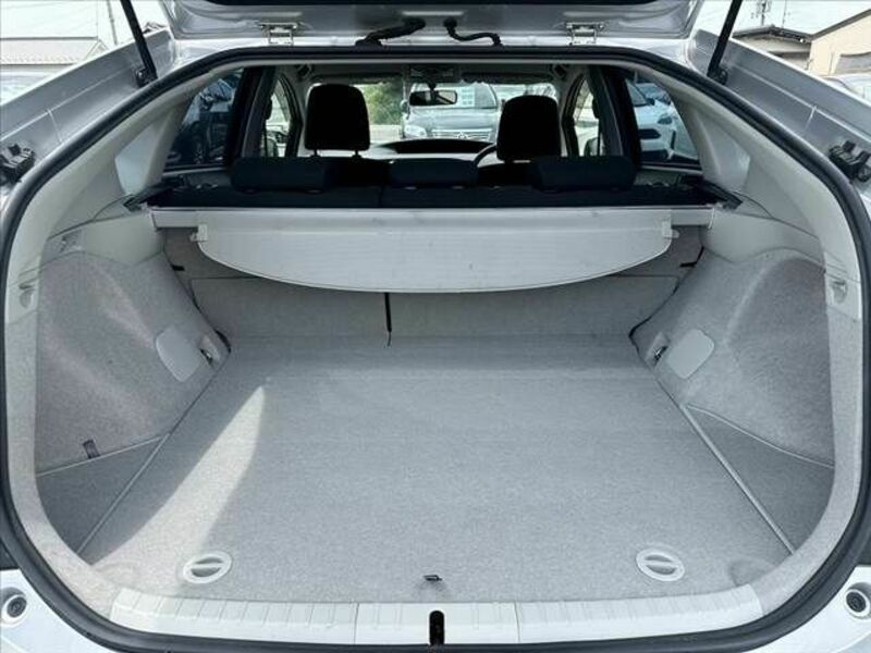PRIUS-19