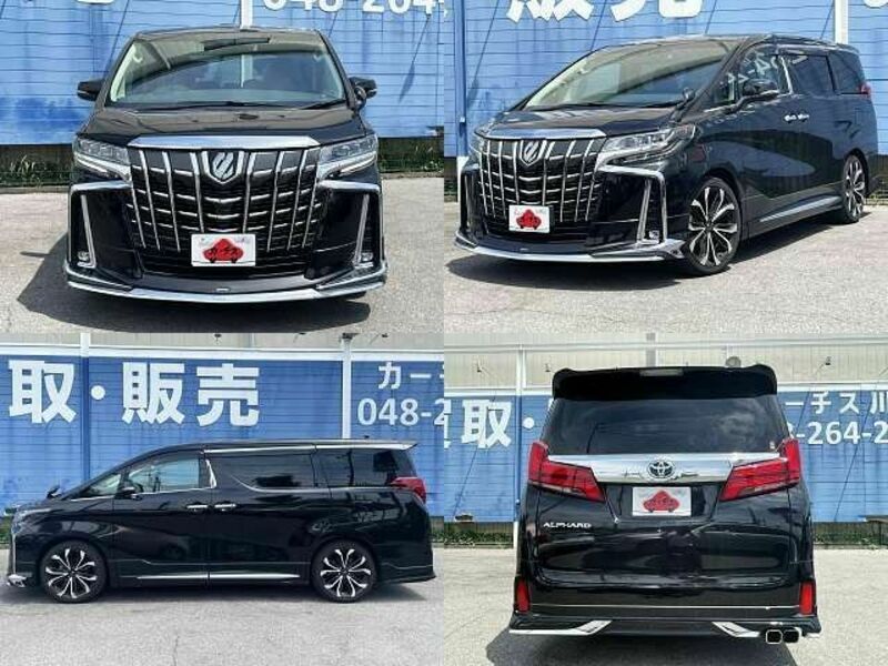 ALPHARD-8