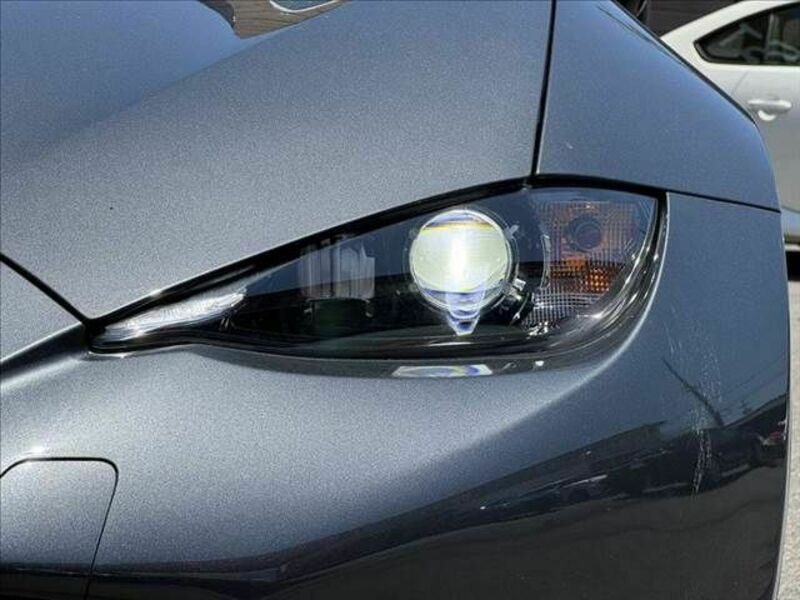 ROADSTER