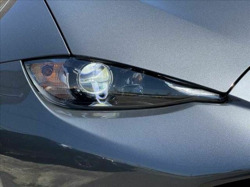 ROADSTER