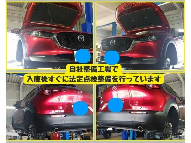 CX-30-4