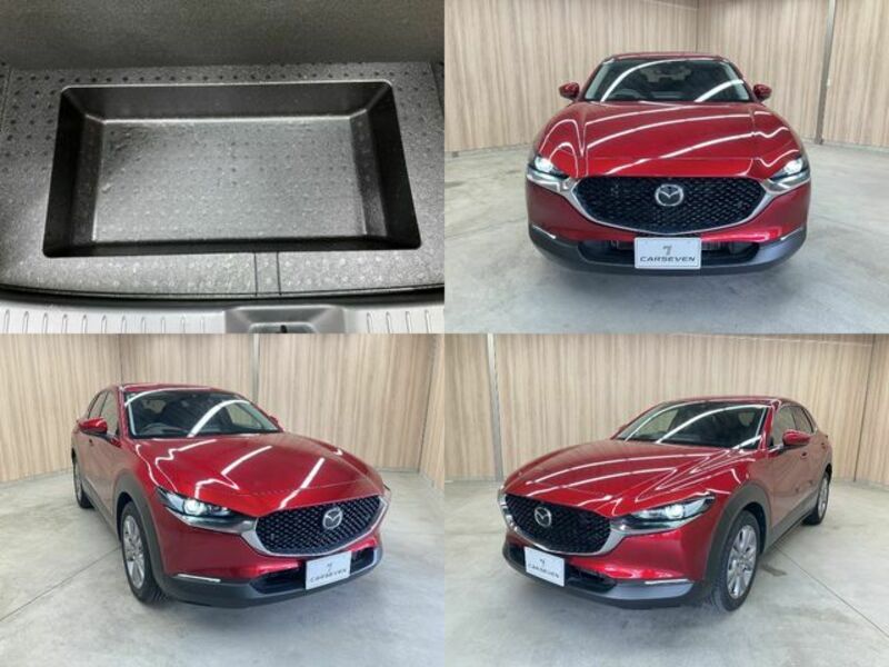 CX-30-19