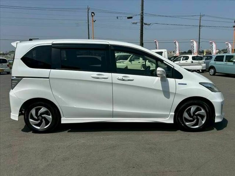 FREED HYBRID-11