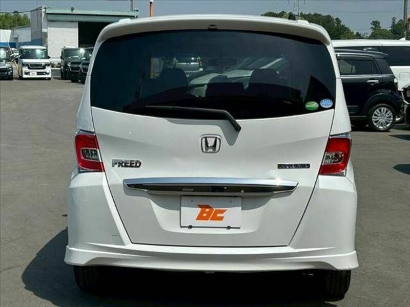FREED HYBRID-13