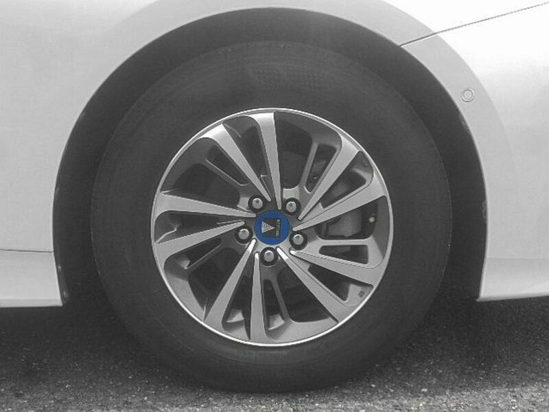 PRIUS-8