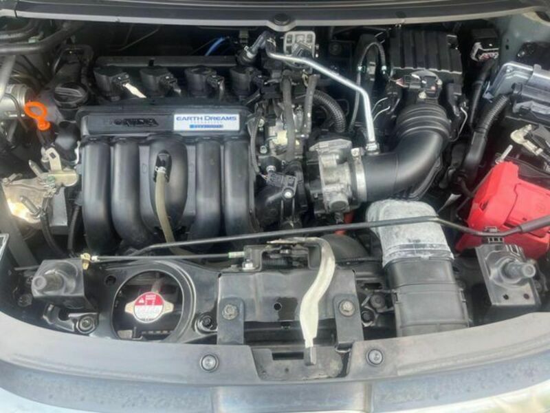 FREED HYBRID-18