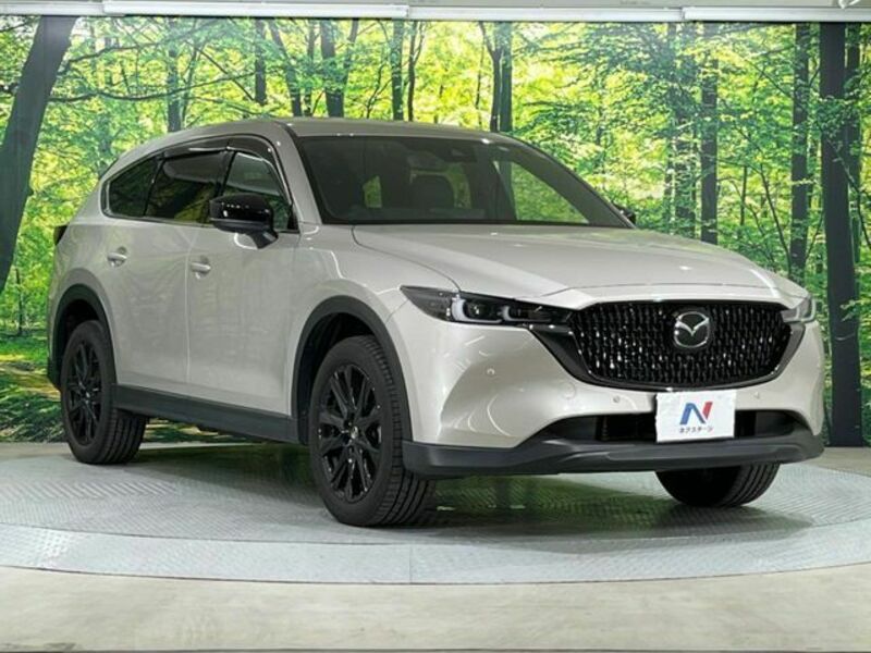 CX-8