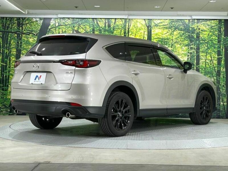 CX-8